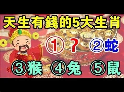 生肖房子坐向|十二生肖宅運大公開